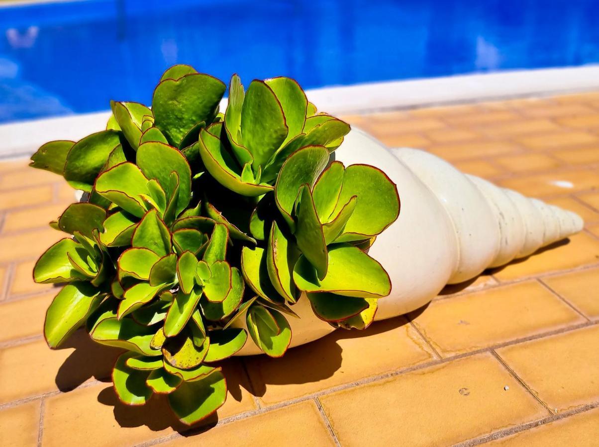 Flh Vilamoura Summer Flat With Pool Exterior foto